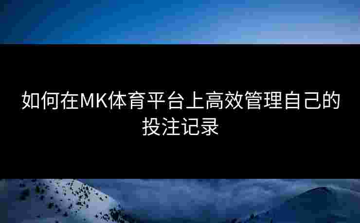 如何在MK体育平台上高效管理自己的投注记录