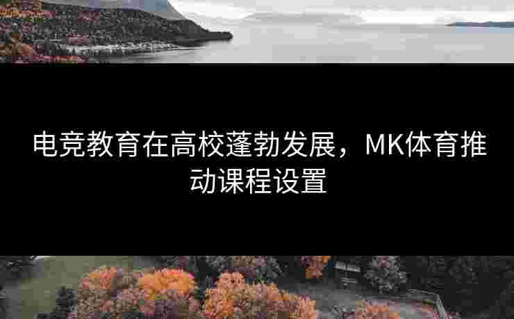 电竞教育在高校蓬勃发展，MK体育推动课程设置